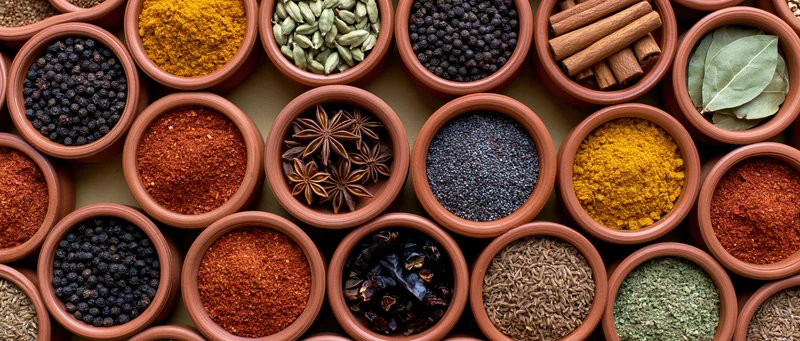 Various spices and herbs in terracotta bowls arranged in a grid pattern