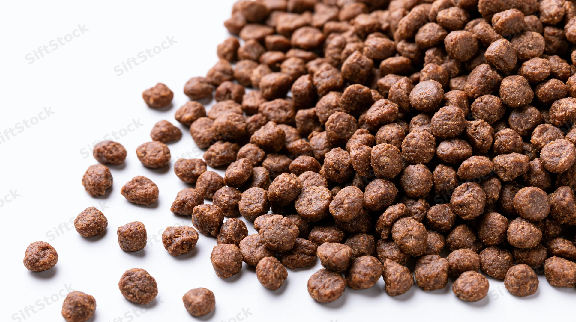 Dry pet food kibble scattered diagonally across white surface