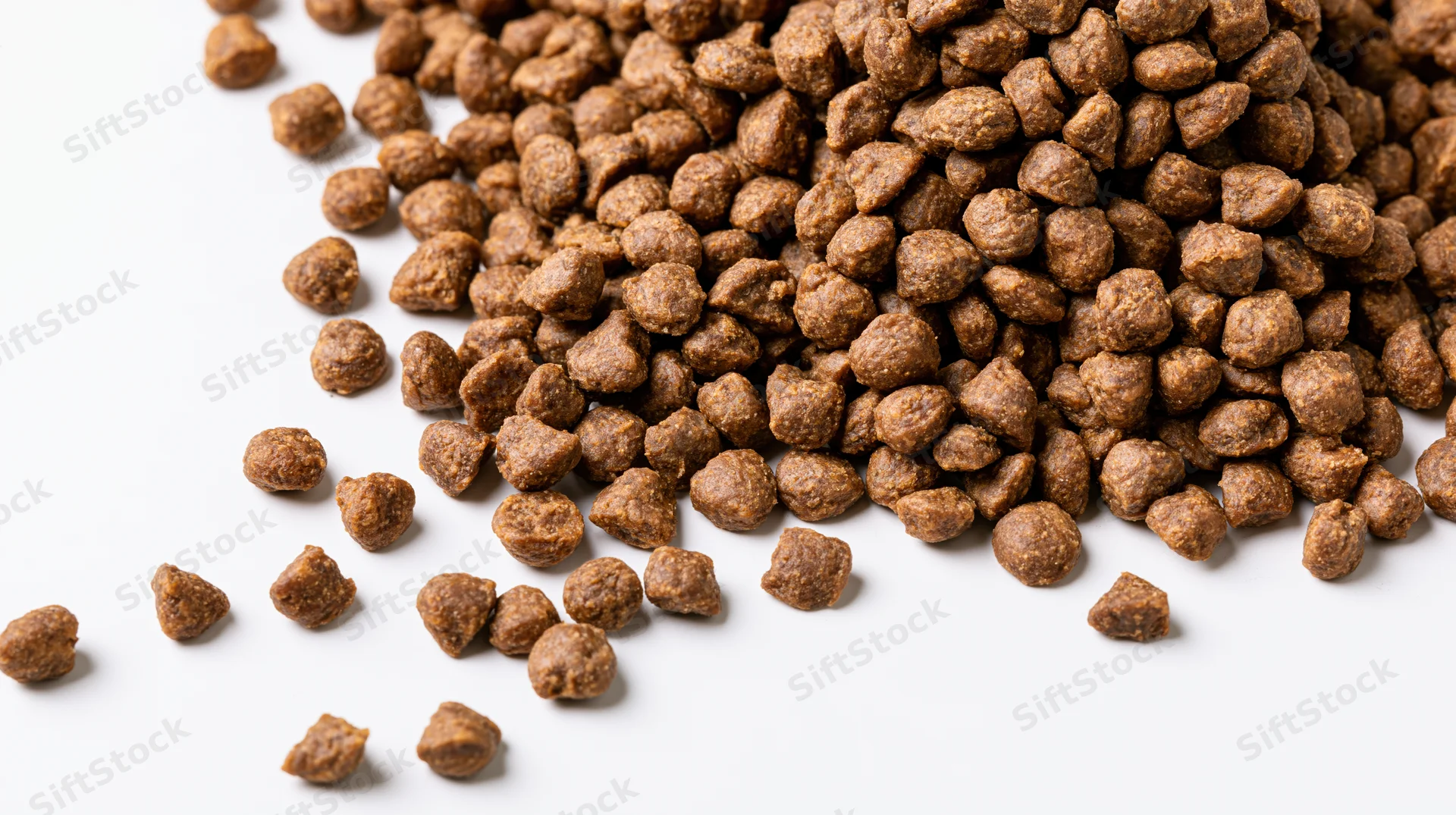 Dry pet food kibble scattered diagonally across white background