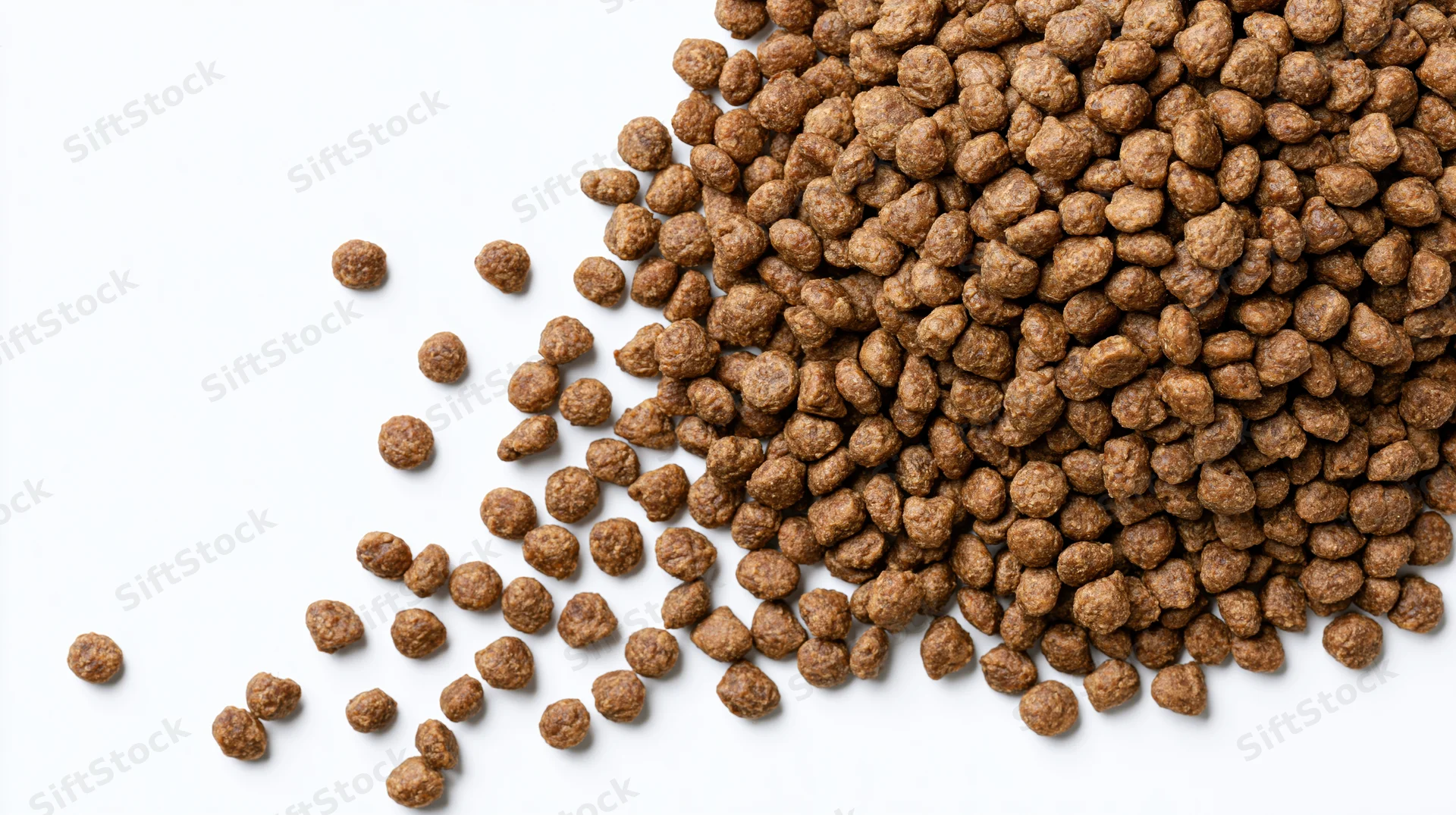 Dry pet food kibble scattered diagonally across white background