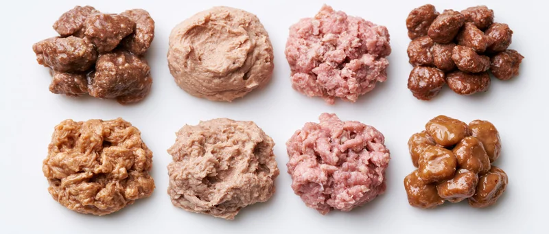 Eight portions of wet pet food arranged in two rows on white background