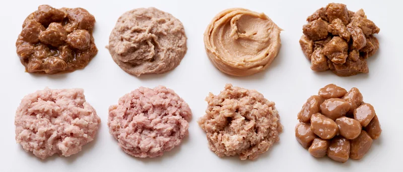 Eight portions of wet pet food arranged in two rows on white background