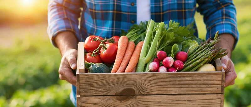 Farmer holding wooden crate filled with fresh vegetables in a field