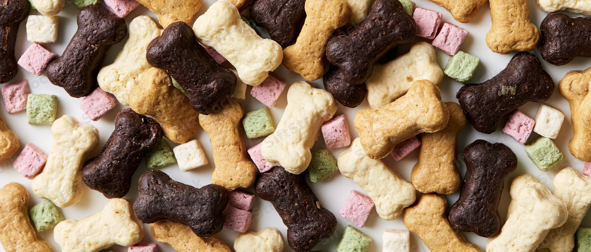 Assorted dog bone-shaped biscuits and small square treats arranged in a flat lay on a white surface