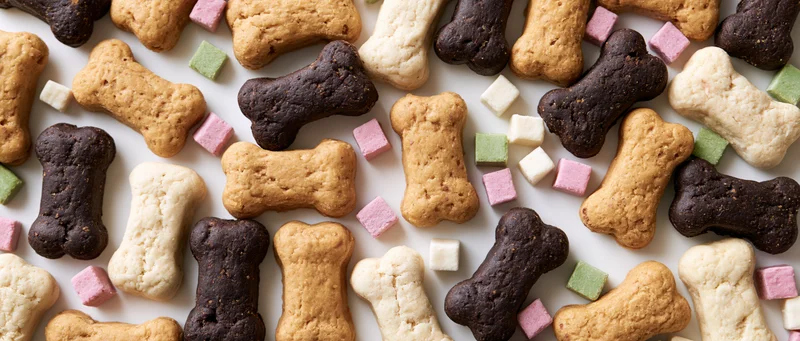 Assorted dog bone-shaped biscuits and small square treats arranged in flat lay on white surface