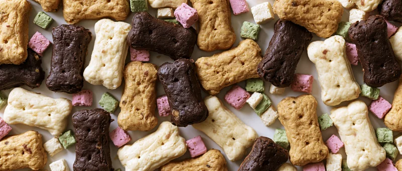 Assorted dog bone-shaped biscuits and small square treats arranged flat on white surface