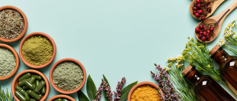 Herbal supplements and botanicals arranged in clay bowls and glass bottles on a light blue surface with copyspace