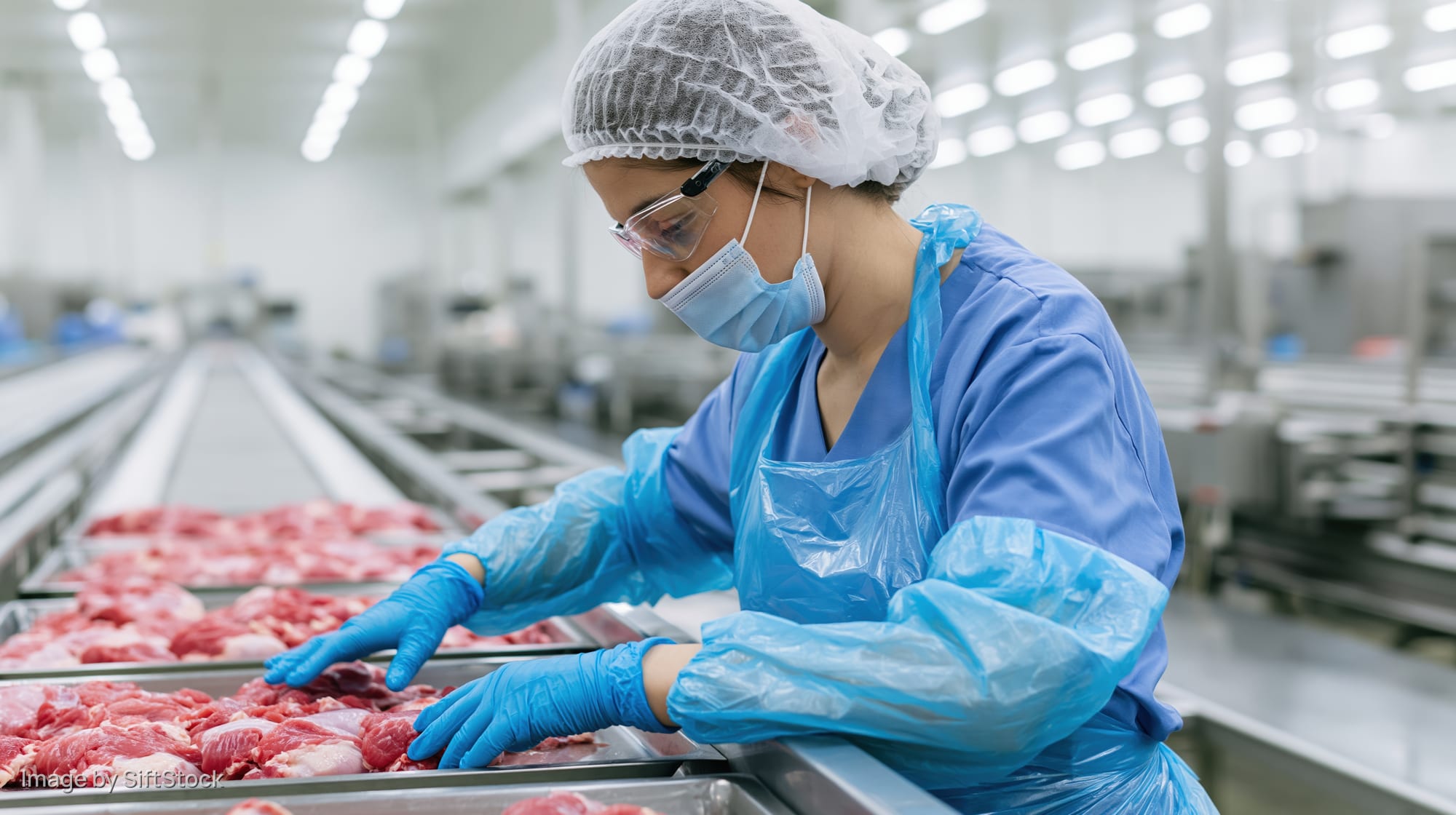 Woman inspecting raw meat on conveyor belt in food processing factory