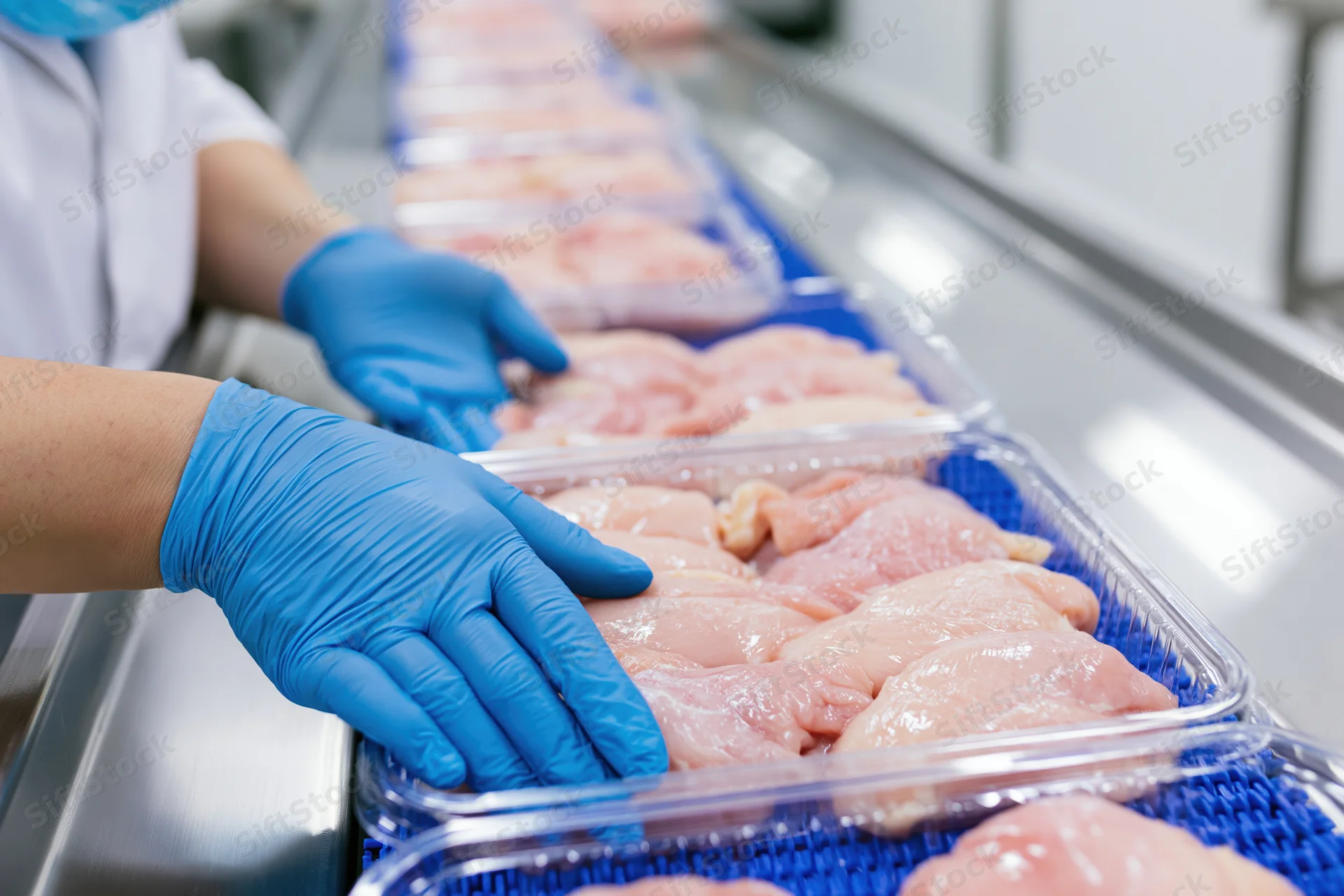 Worker in blue gloves handling packaged chicken on a conveyor in a food processing facility