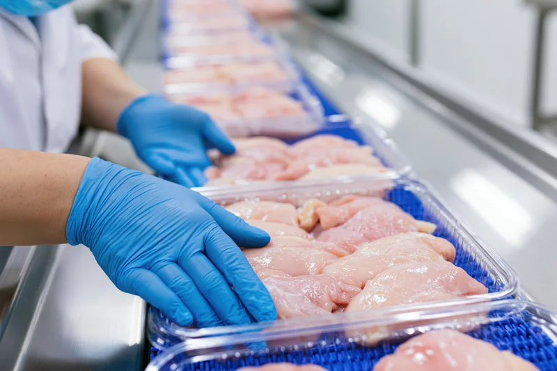 Worker in blue gloves handling packaged chicken on a conveyor in a food processing facility