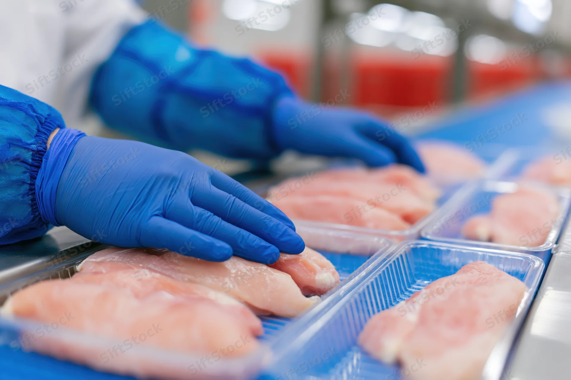 Worker in blue nitrile gloves handling raw chicken fillets on a production line