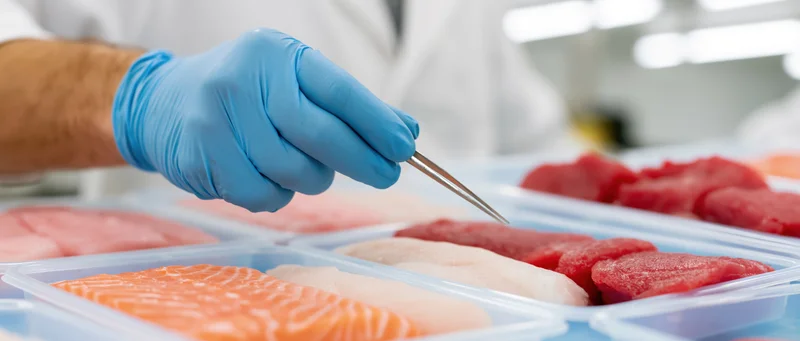 Hand in blue nitrile glove using tongs to inspect seafood fillets in plastic trays at processing facility