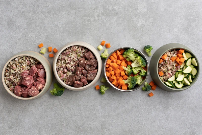 Four pet food bowls arranged in a row on a gray textured surface containing raw meat and chopped vegetables