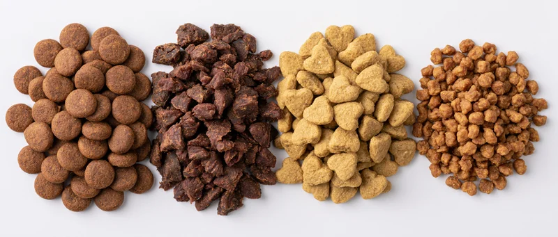 Four piles of dry pet kibble arranged horizontally on white background