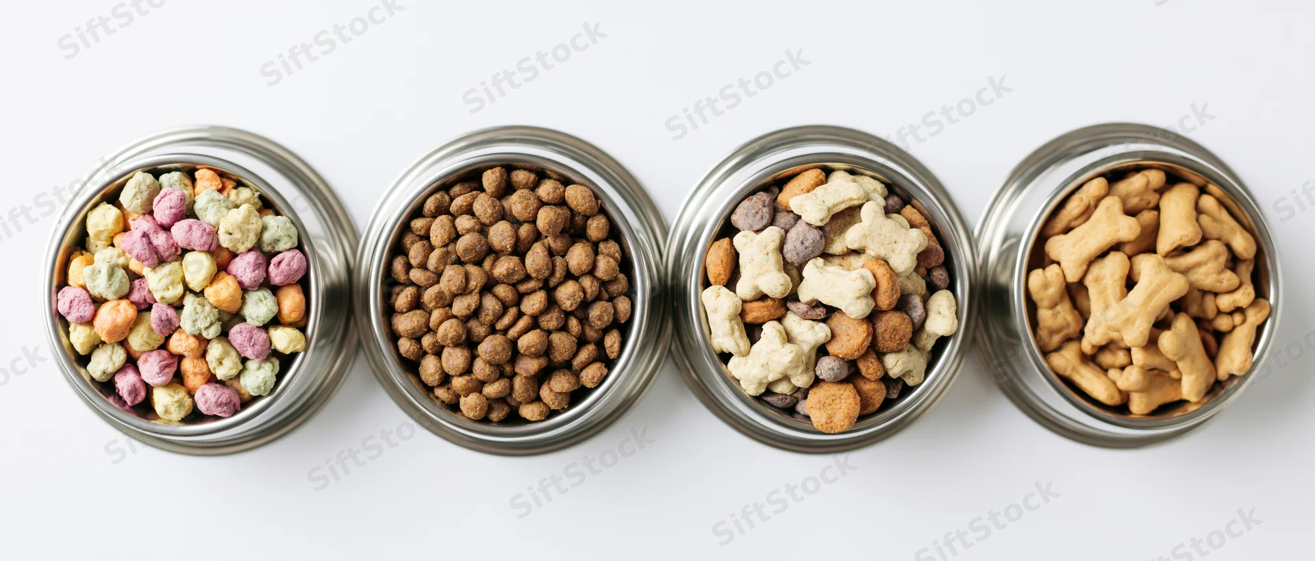 Four stainless steel dog bowls in a row filled with different types of dog food and treats on a white background