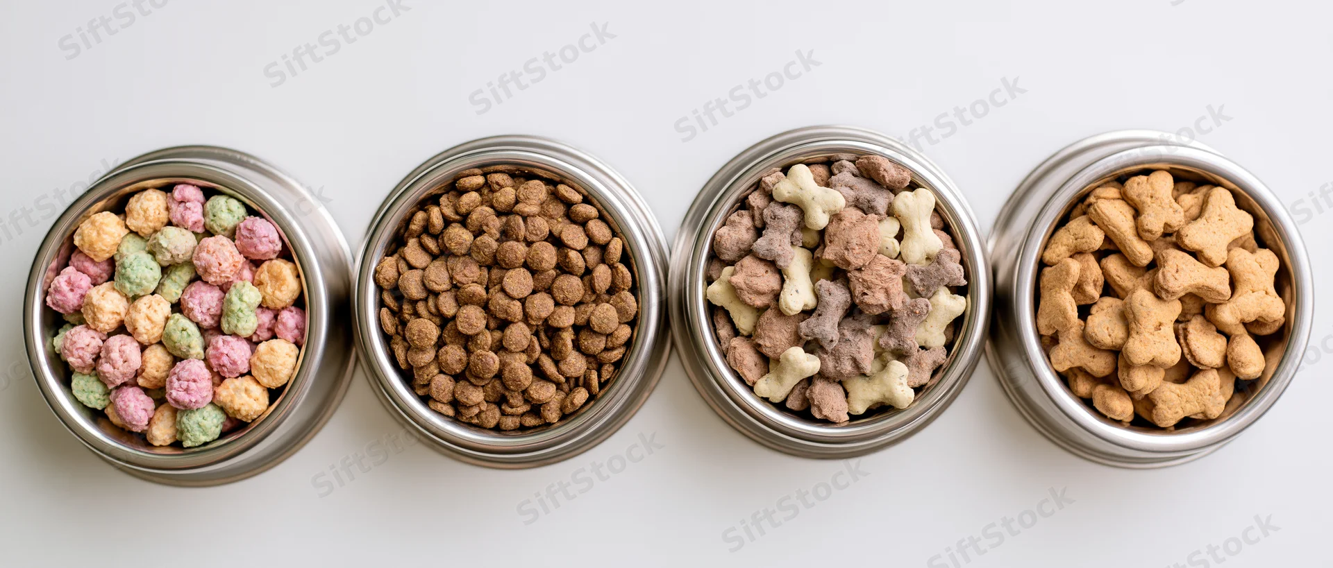 Four stainless steel dog bowls in a row filled with different types of dog food on a white surface