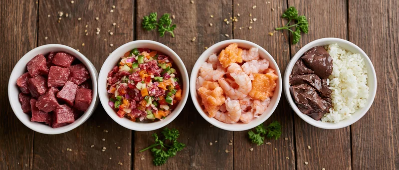 Four white bowls with beef, shrimp, salmon, and chocolate rice arranged in a row on a wooden table
