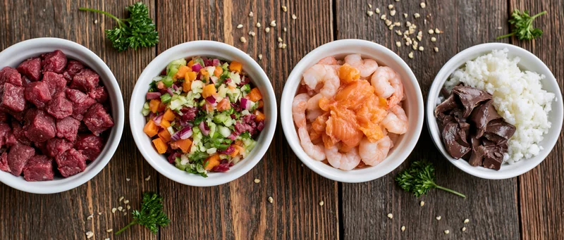Four white bowls with beef, shrimp, salmon, rice, chocolate, and salad arranged in a row on a wooden table