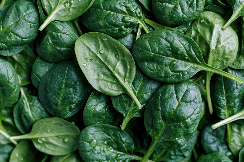 Fresh baby spinach leaves scattered loosely filling the entire frame