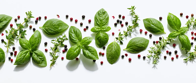 Fresh basil leaves and thyme sprigs arranged with red and black peppercorns on white background