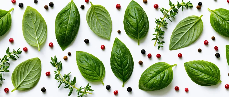 Fresh basil leaves and thyme sprigs arranged on white surface with peppercorns