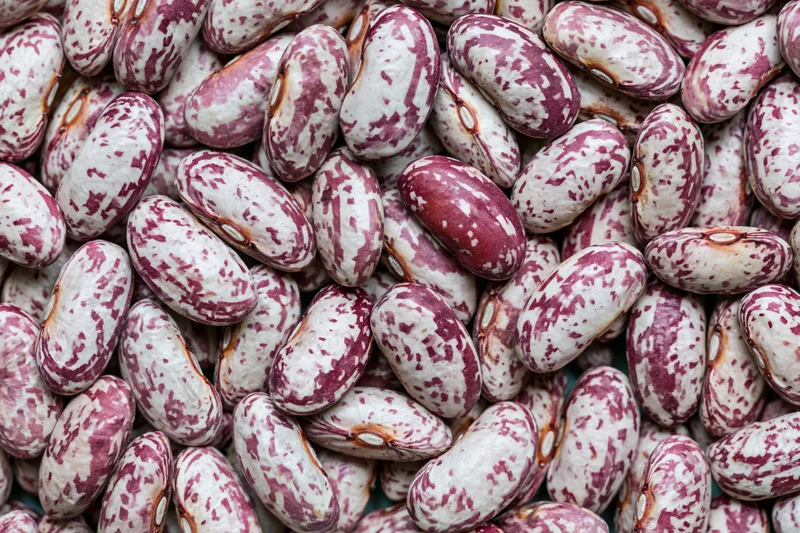 Closeup of dried speckled borlotti beans piled together filling the frame