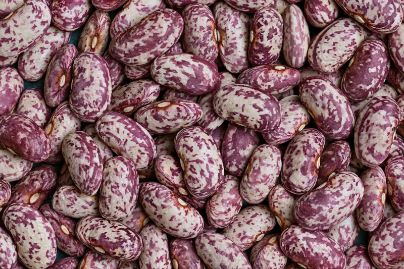 Dried speckled borlotti beans filling the frame in a close-up view