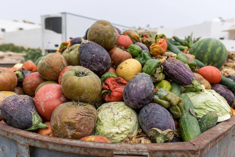 Pile of discarded mixed vegetables in a metal bin outdoors