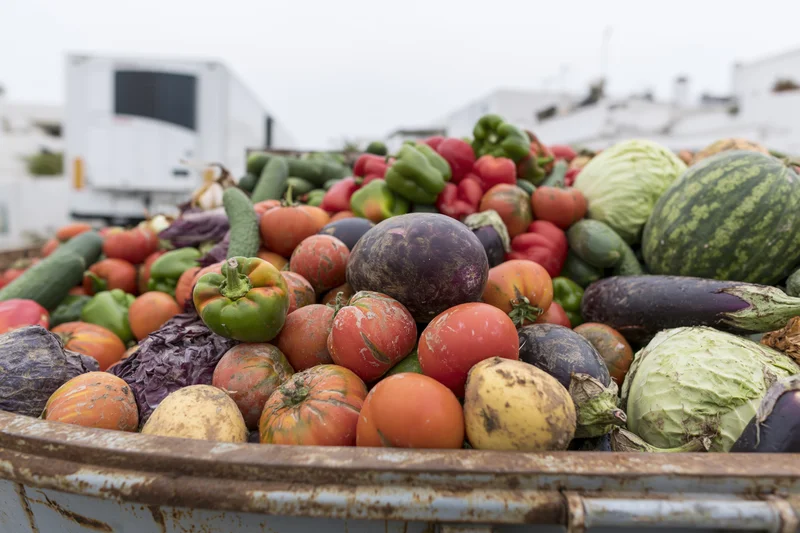 Pile of discarded overripe vegetables in a metal bin at a disposal site