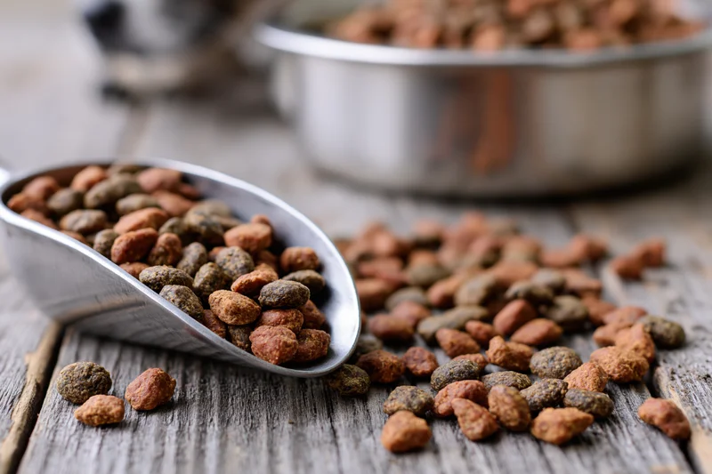 Metal scoop overflowing with dry pet kibble scattered on wooden table
