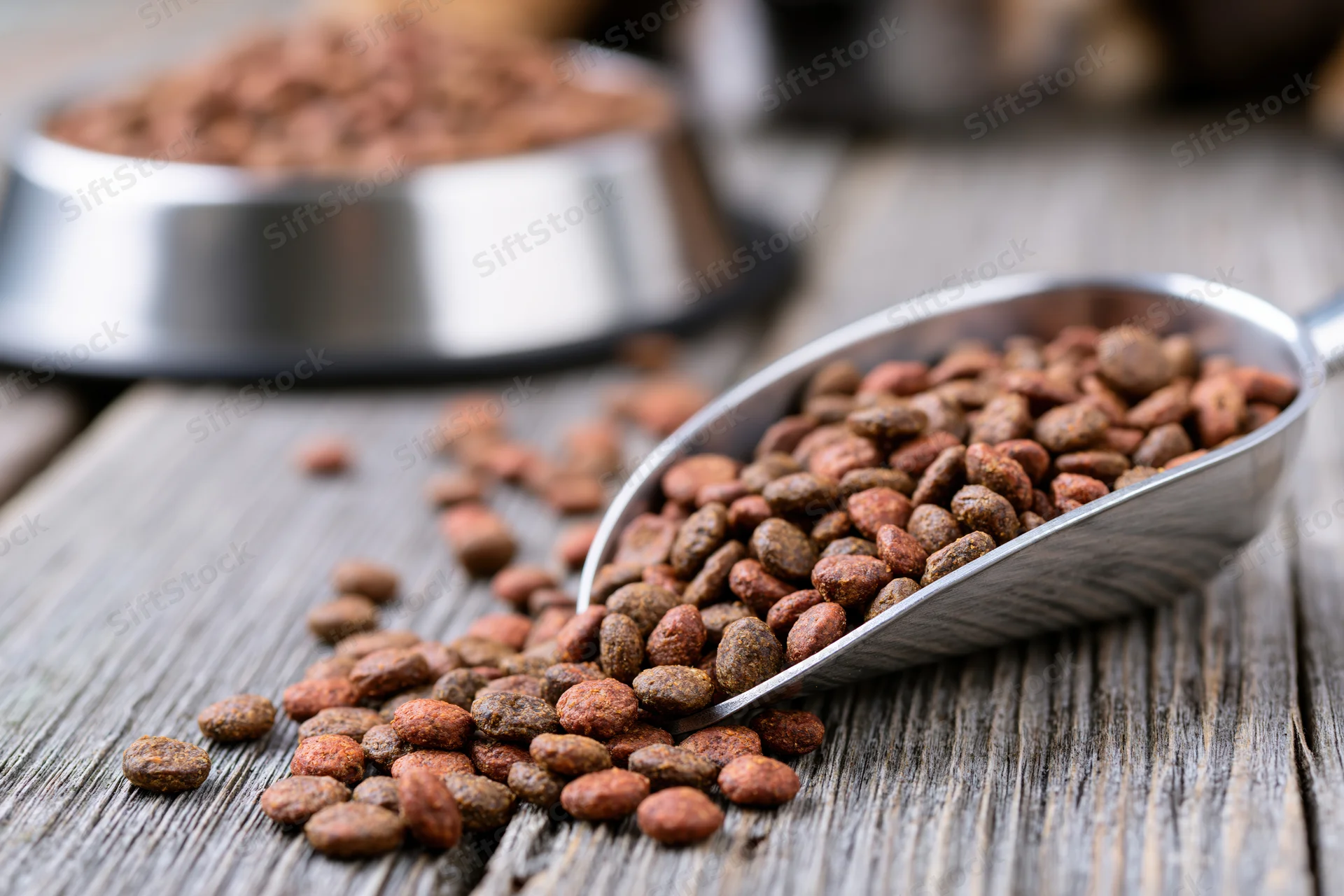 Metal scoop overflowing with dry pet kibble scattered on wooden surface near feeding bowl