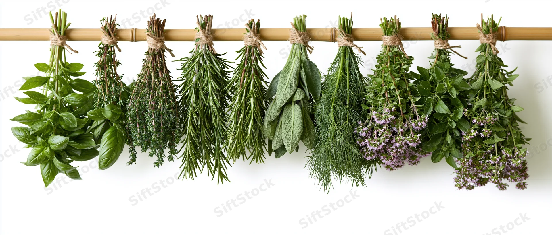 Nine bunches of fresh herbs tied with twine hanging upside down from a bamboo rod against a white background