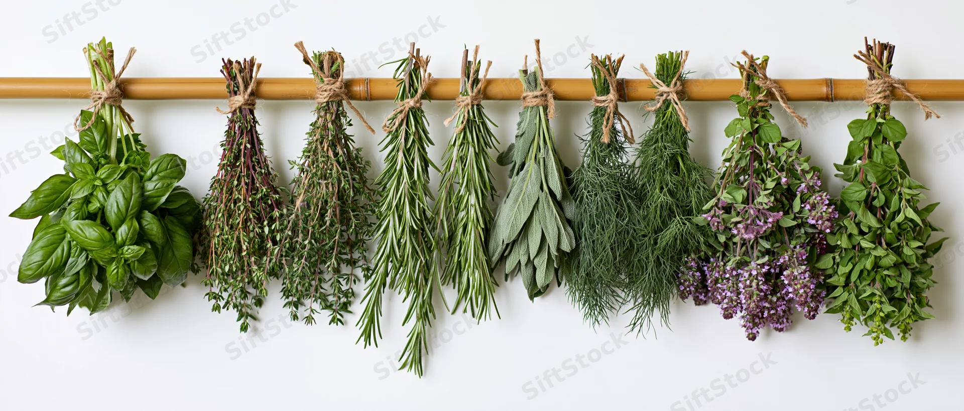 Nine bunches of fresh herbs tied with twine hanging upside down from a bamboo rod against a white background