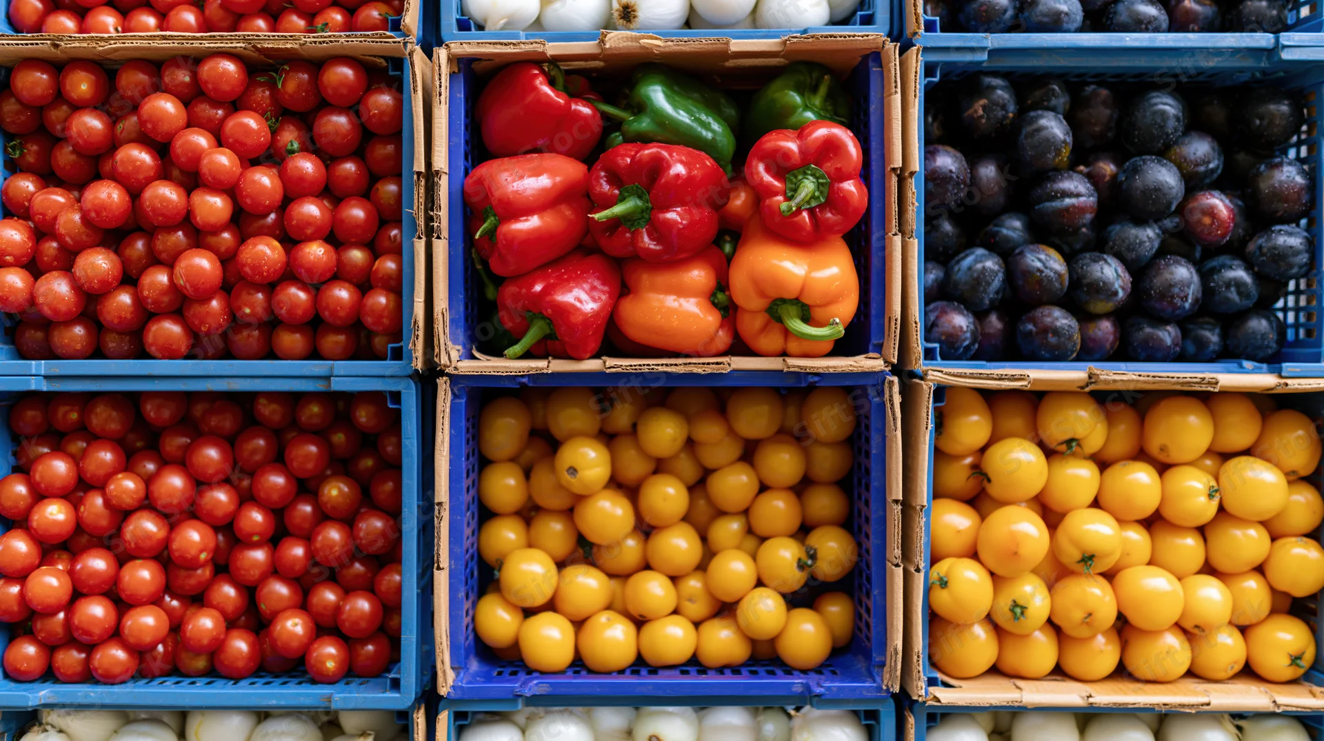 Overhead view of fresh vegetables and tomatoes arranged in blue crates at a market display