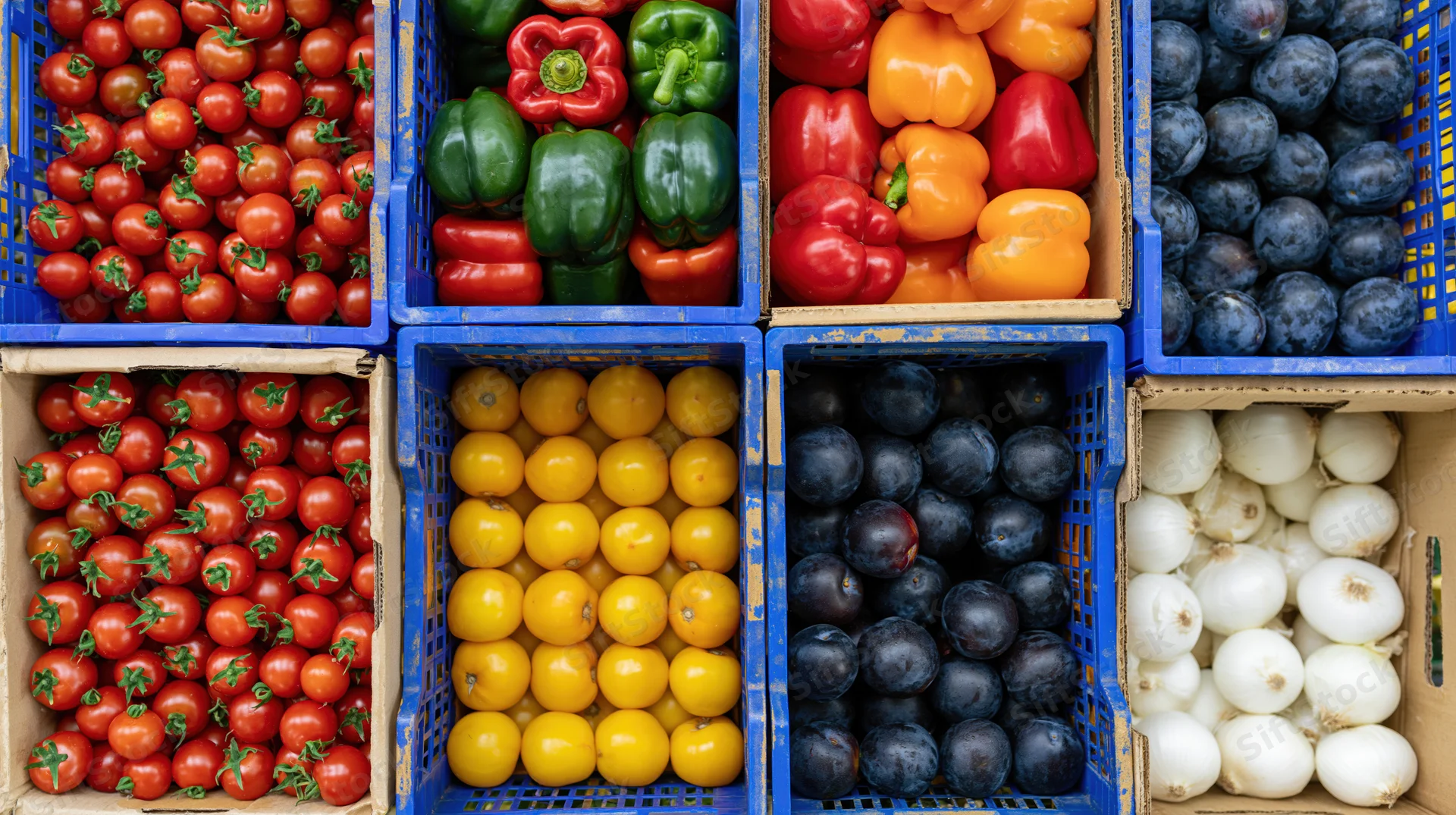 Overhead view of fresh vegetables and tomatoes arranged in blue crates and cardboard boxes at a market