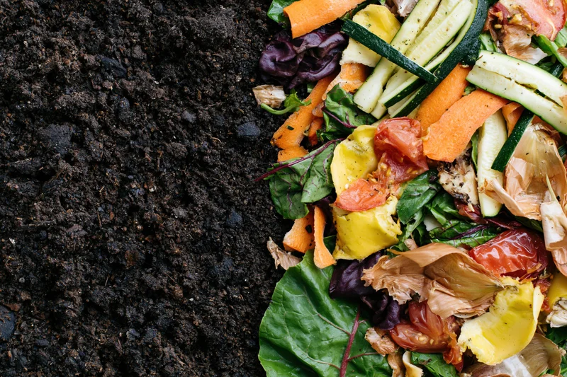 Vegetable scraps and food waste piled on dark compost soil with copyspace on left