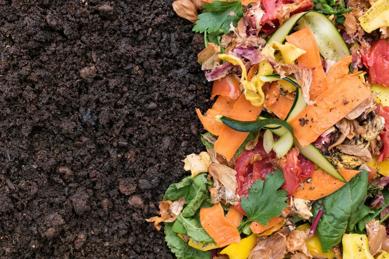 Pile of vegetable scraps and food waste next to dark compost soil