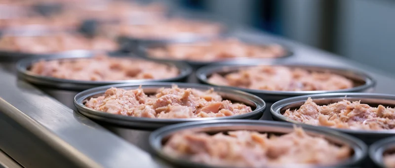 Rows of open metal cans filled with flaked tuna on a conveyor belt in a food processing factory