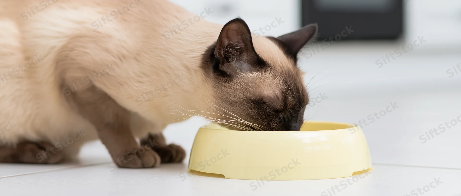 Siamese cat eating from a pale yellow plastic bowl on a white tiled kitchen floor