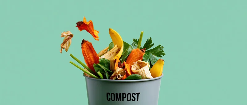Compost bucket overflowing with vegetable scraps and peels against a teal background