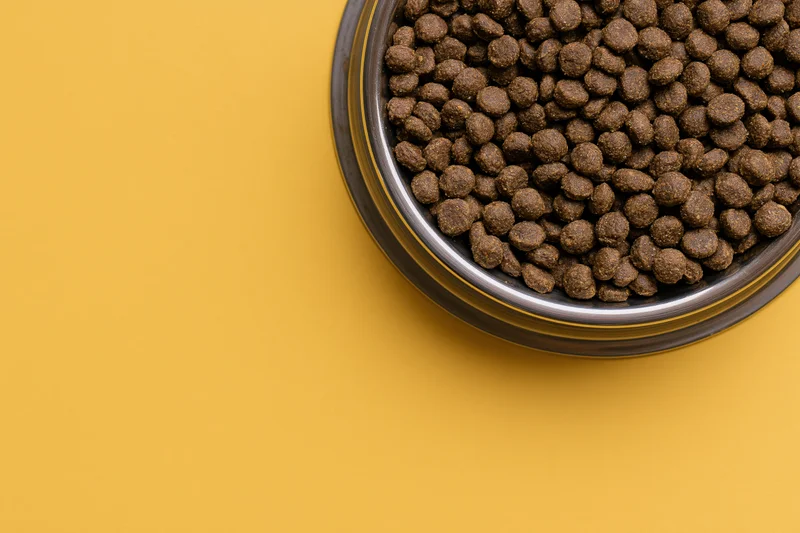 Stainless steel bowl filled with dry brown kibble on yellow surface