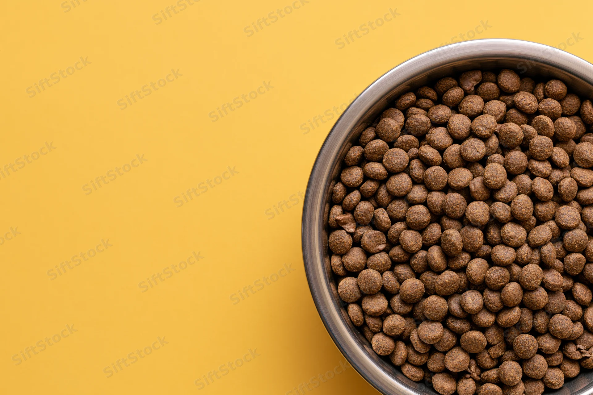 Stainless steel bowl filled with dry brown kibble on yellow background