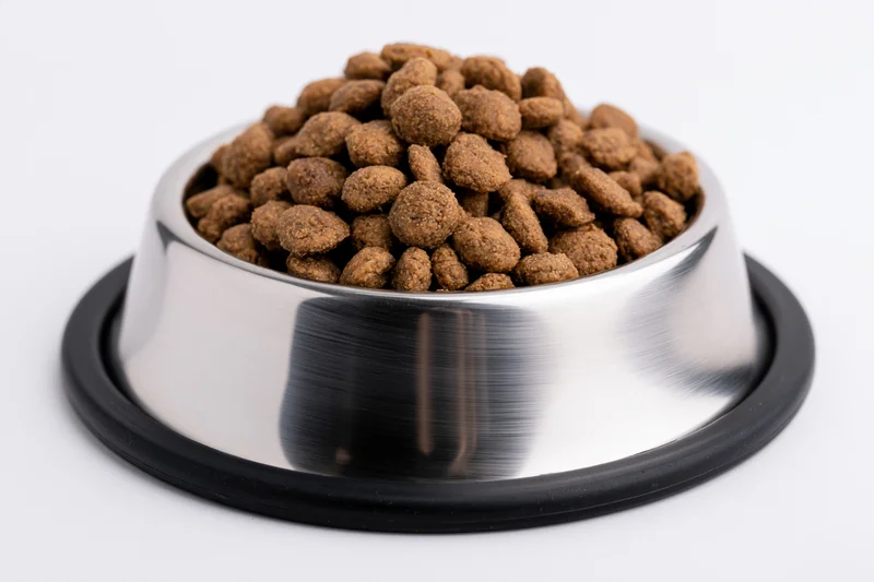 Stainless steel pet food bowl filled with dry kibble on white background