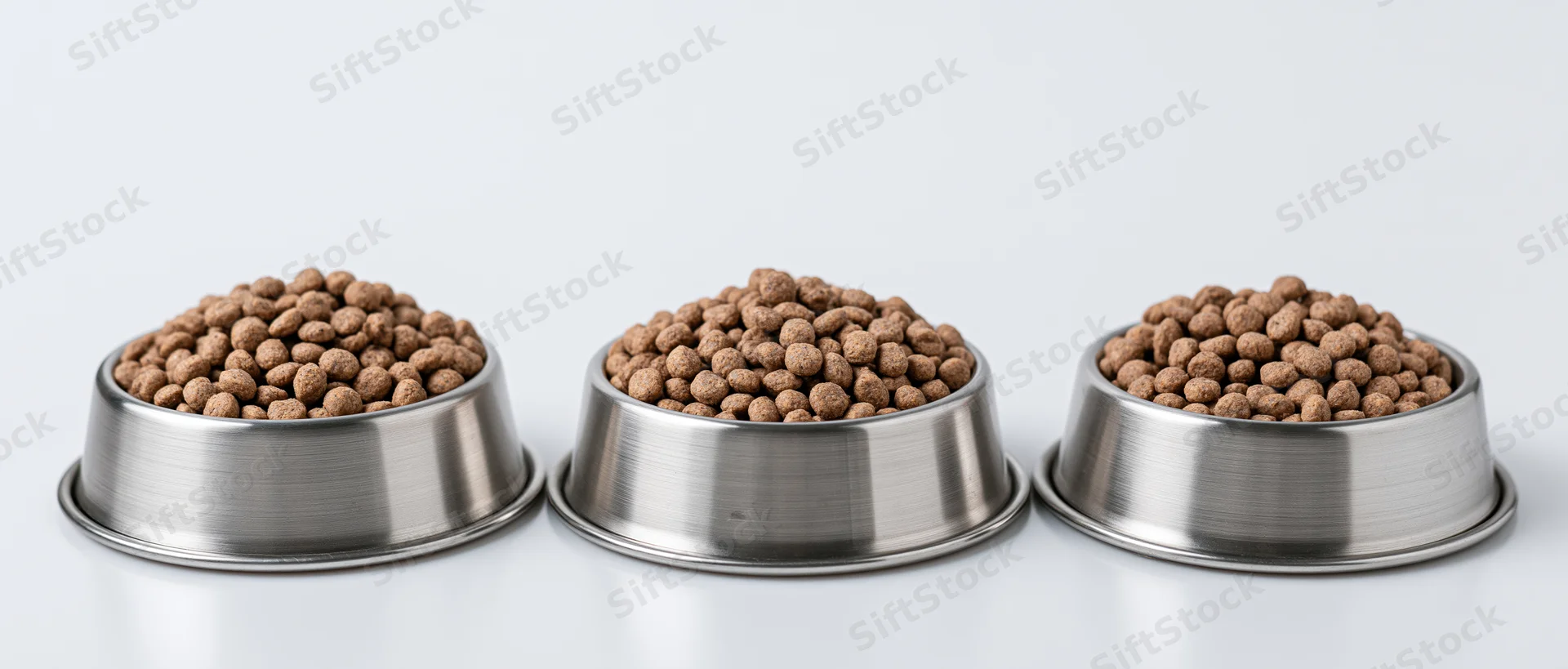 Three stainless steel pet food bowls filled with dry kibble arranged in a row on a white surface