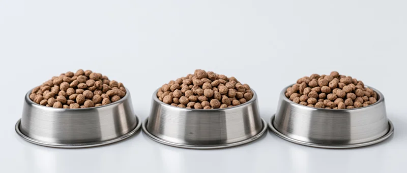 Three stainless steel pet food bowls filled with dry kibble arranged in a row on a white surface