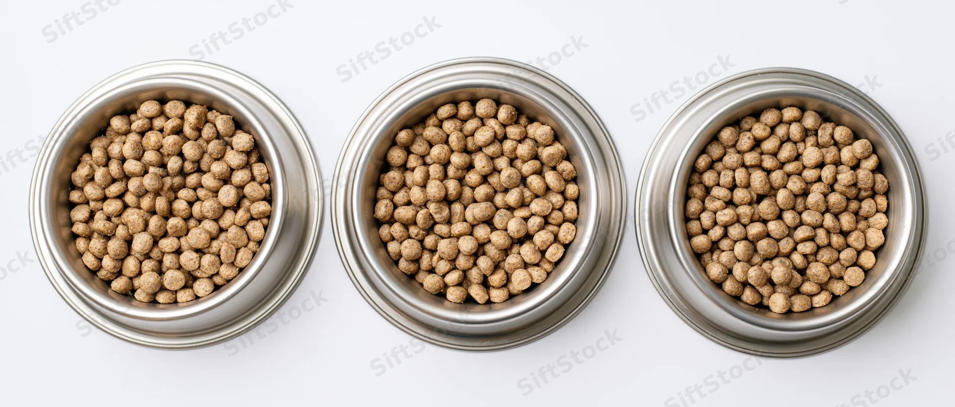 Three stainless steel pet food bowls filled with dry kibble arranged in a row on white background