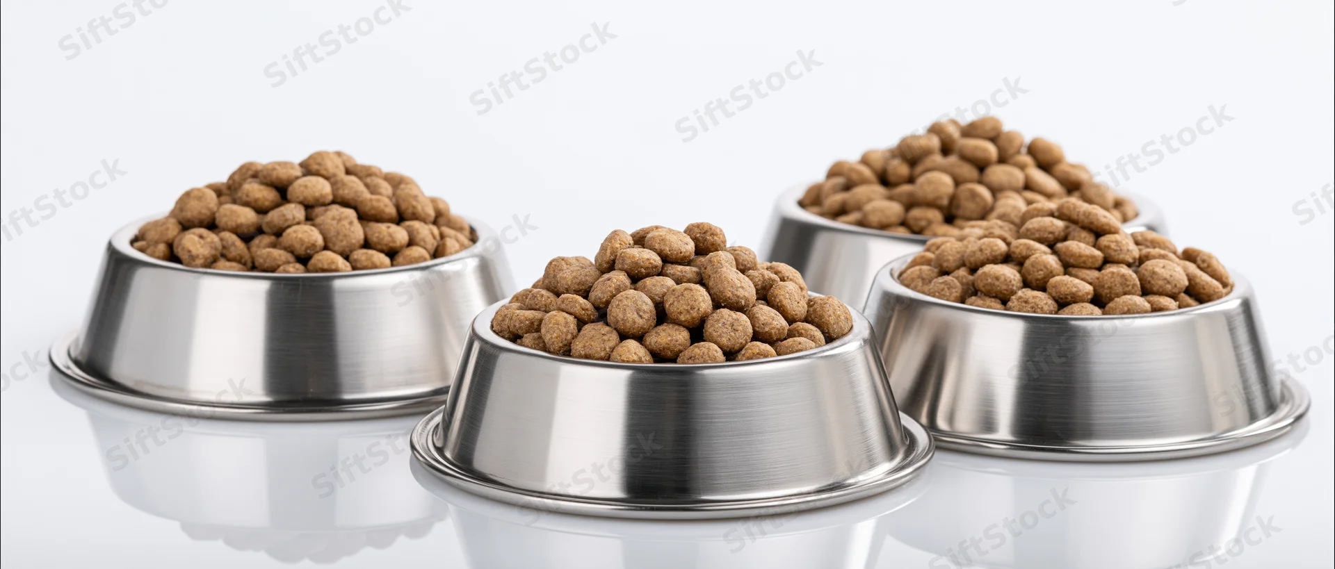 Three stainless steel pet food bowls filled with dry kibble on a white reflective surface