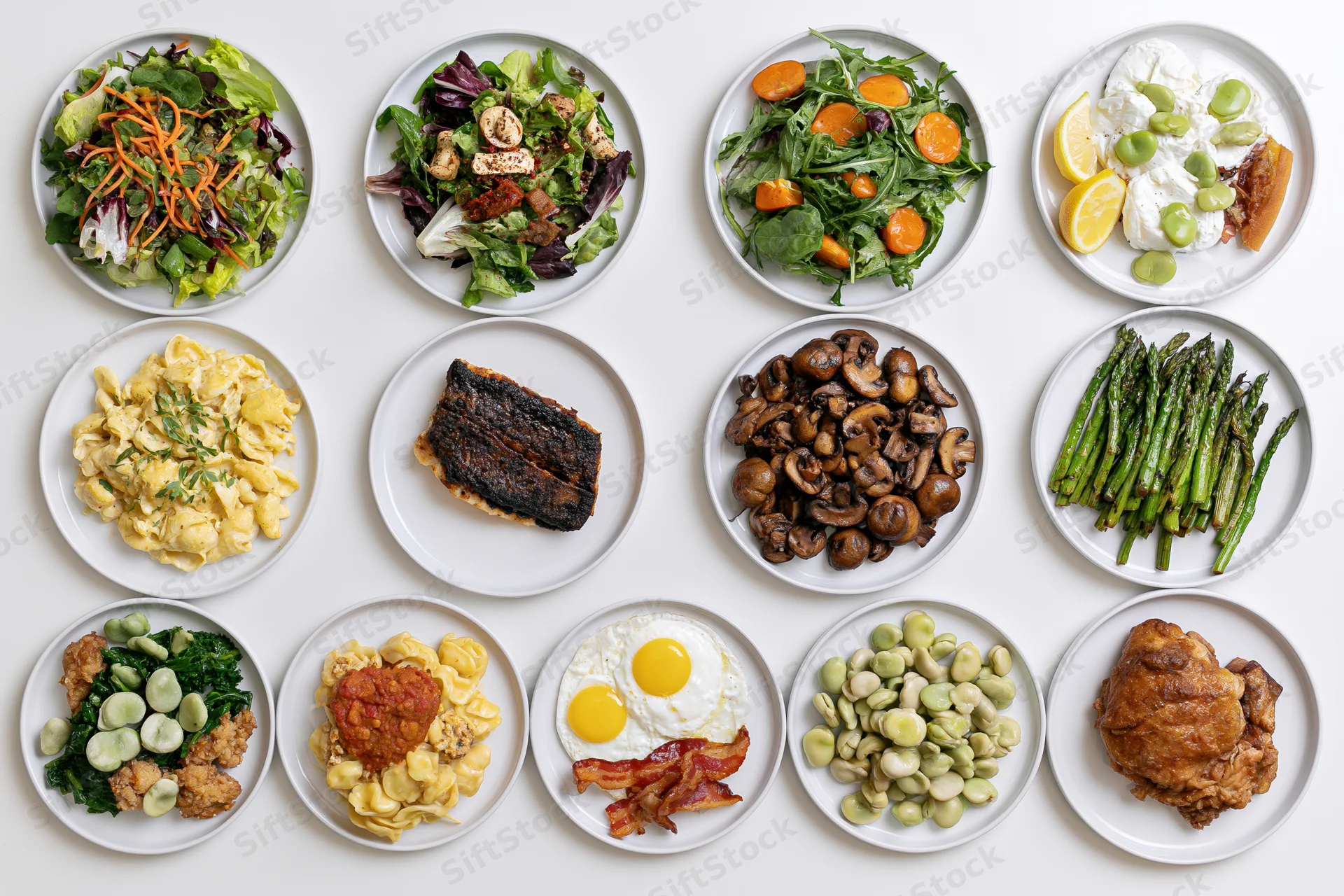 Twelve round plates arranged in grid displaying various meals including salads, pasta, proteins and vegetables on white surface