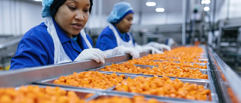 Two women in blue uniforms inspecting diced carrots on a conveyor line in a food processing factory