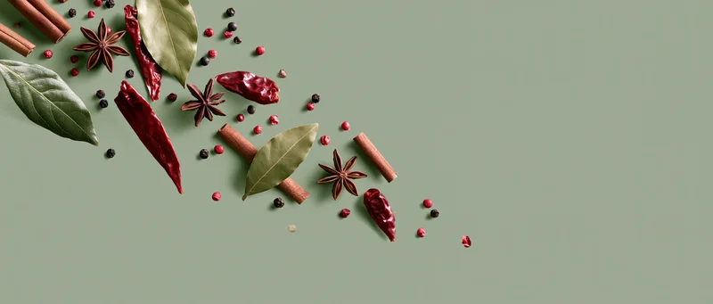 Dried spices and herbs arranged in a diagonal line on a green background with copyspace